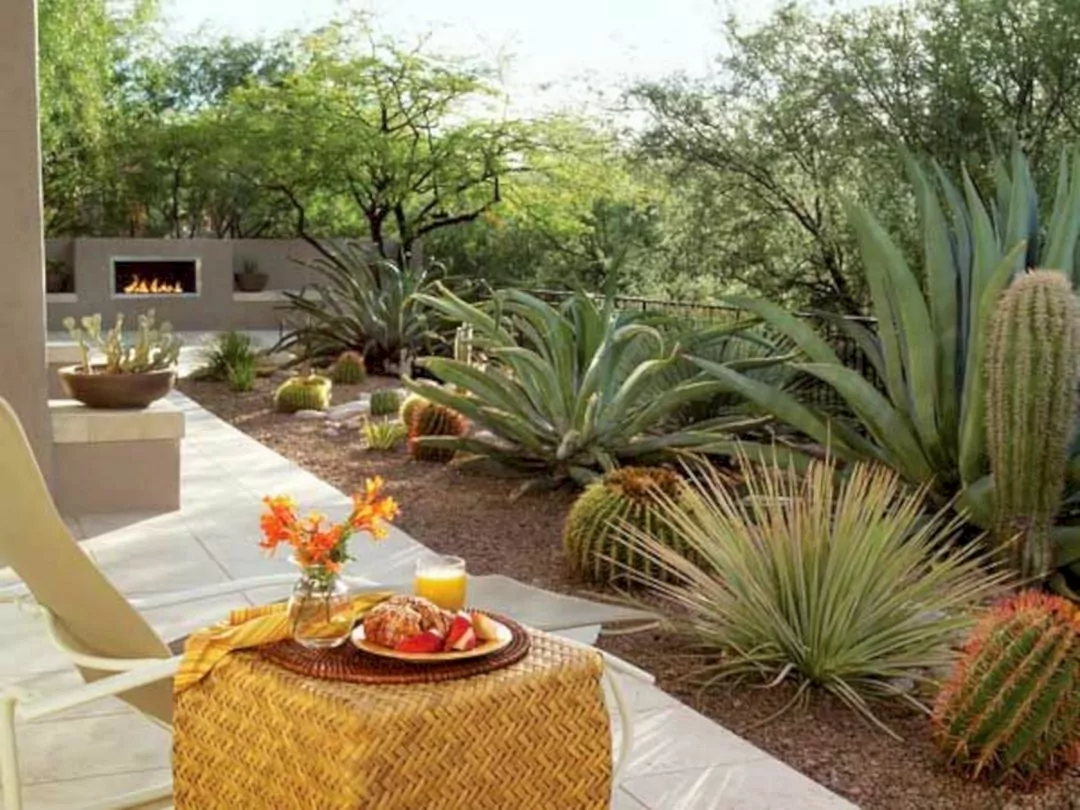 Beautiful Desert Landscaping in Your New Construction Home at Yavapai Hills  - Capstone Homes, image size:1080x810