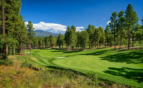 golf course